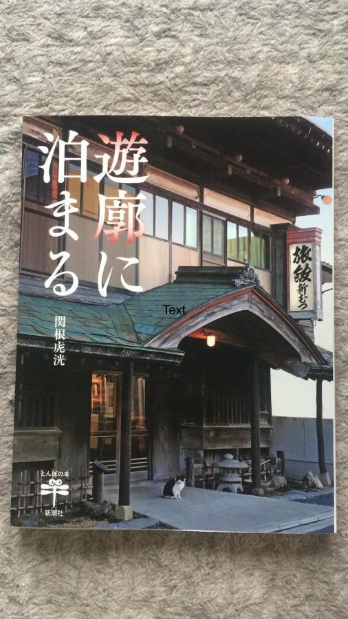 Yadoya Hiraiwa Hotel Kyoto Ngoại thất bức ảnh